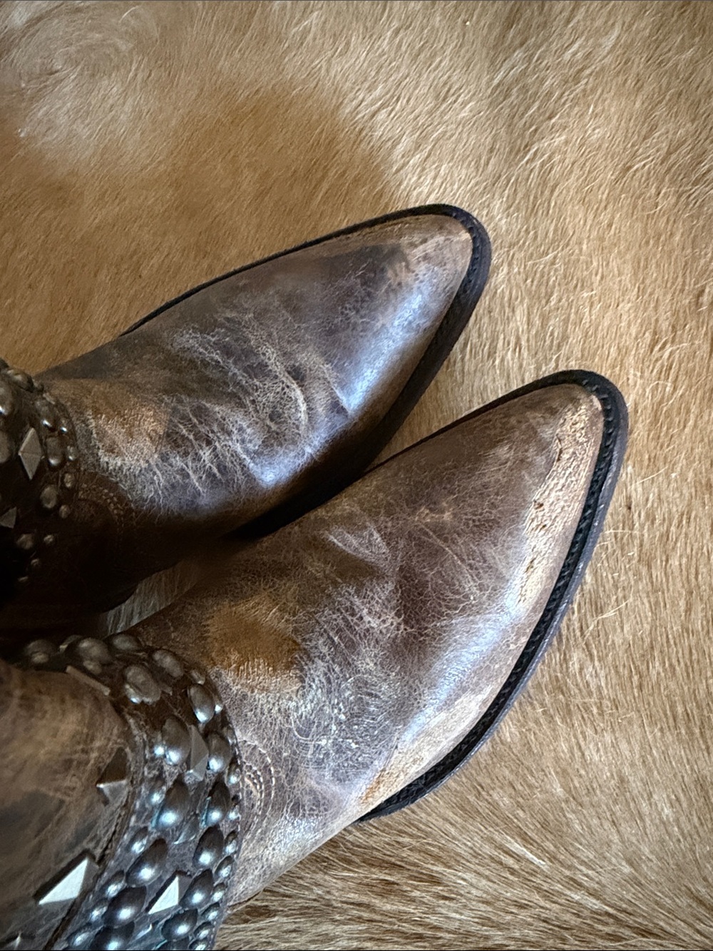 Old Gringo Brown Studded Heeled Cowboy Boots - Picture 6 of 8